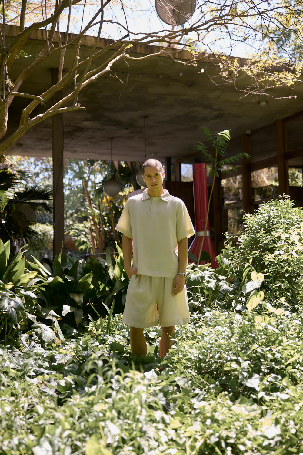 Short Woods - Arena - Image 5